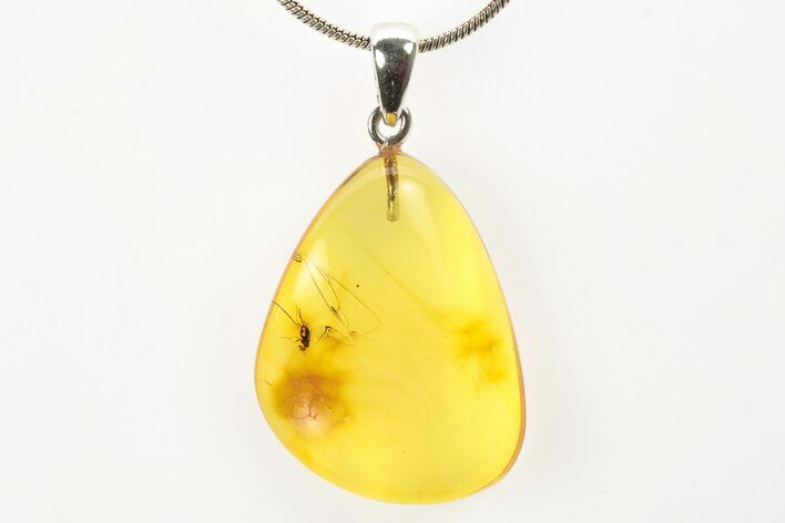 Polished Baltic Amber Pendant (Necklace) - Contains Fly! #273451